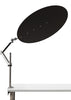 Charcoal Black - Gator Foam Board - Oversized